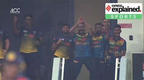 nagin derby|The origin of the Naagin dance, and how it became a symbol of Sri Lanka.